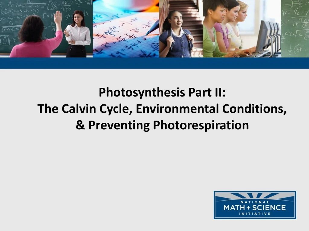 photosynthesis part ii the calvin cycle