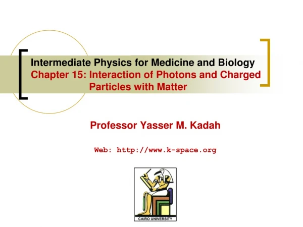 Professor Yasser M. Kadah Web: k-space