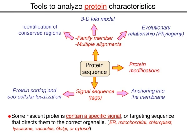 Tools to analyze protein characteristics