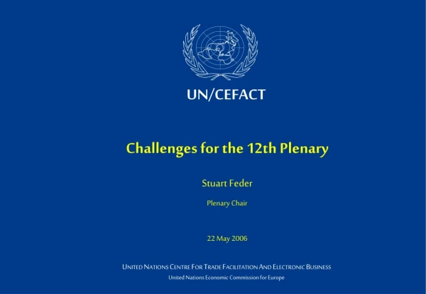Challenges for the 12th Plenary Stuart Feder Plenary Chair 22 May 2006