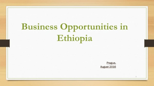 Business Opportunities in Ethiopia