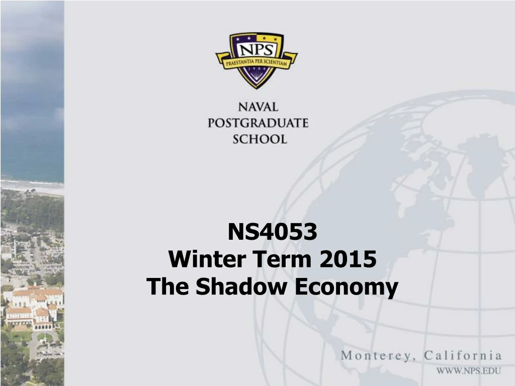 ns4053 winter term 2015 the shadow economy
