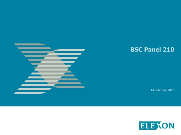 BSC Panel 210