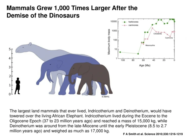 Mammals Grew 1,000 Times Larger After the Demise of the Dinosaurs