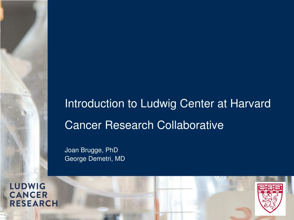 introduction to ludwig center at harvard cancer research collaborative
