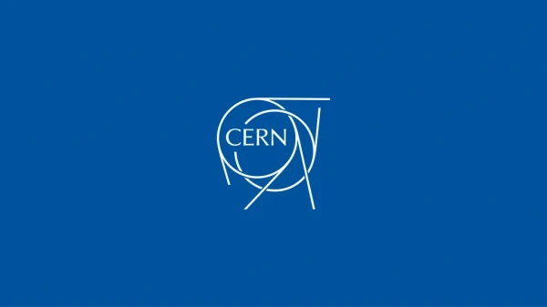 FCT and CERN Portuguese Trainee Programme Report