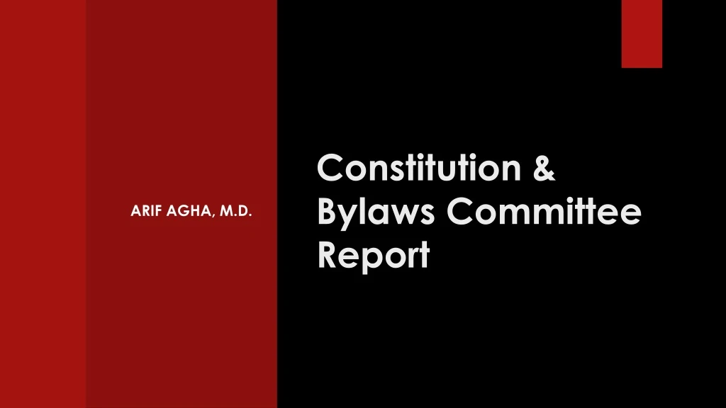 constitution bylaws committee report