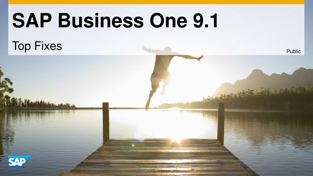 sap business one 9 1