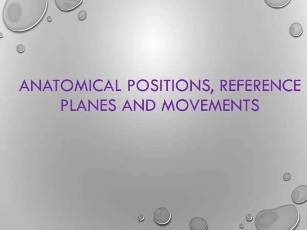 Anatomical Positions, Reference Planes and Movements