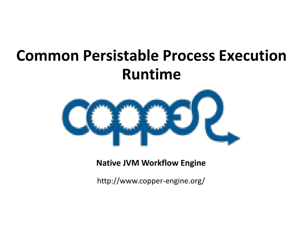 common persistable process execution runtime