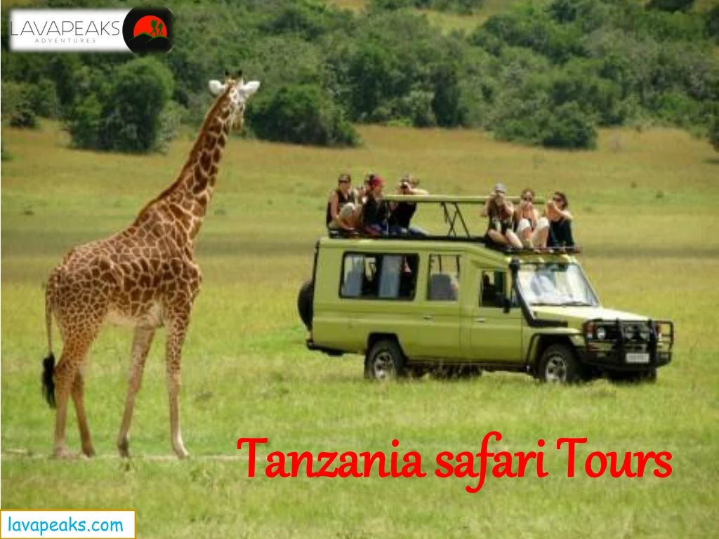 tanzania safari tours