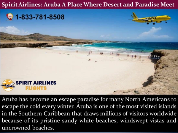 Spirit Airlines: Aruba A Place Where Desert and Paradise Meet