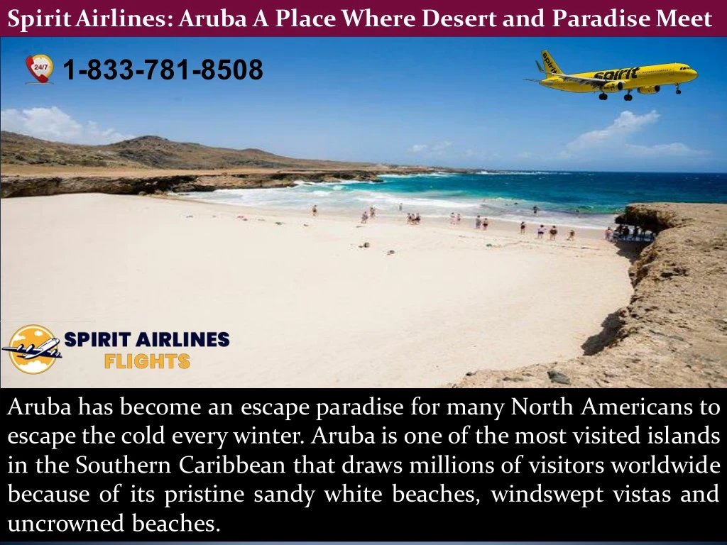 spirit airlines aruba a place where desert