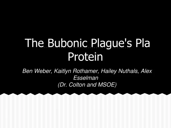 The Bubonic Plague's Pla Protein