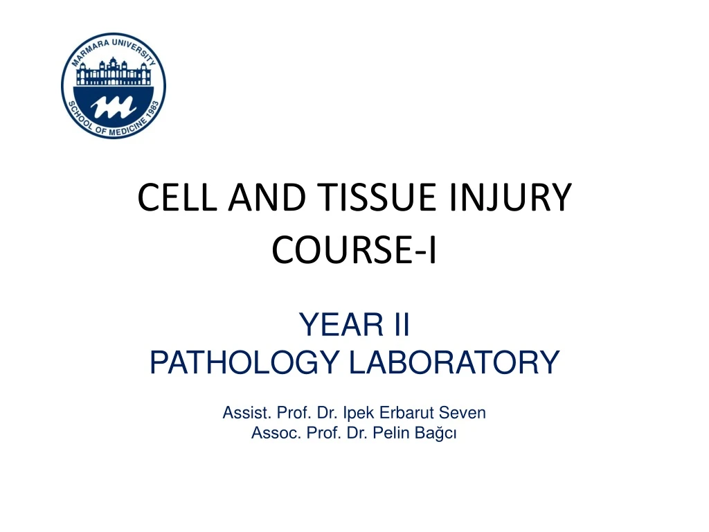 cell and tissue injury course i
