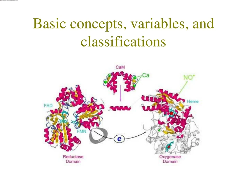 basic concepts variables and classifications