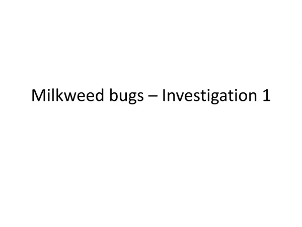 Milkweed bugs – Investigation 1