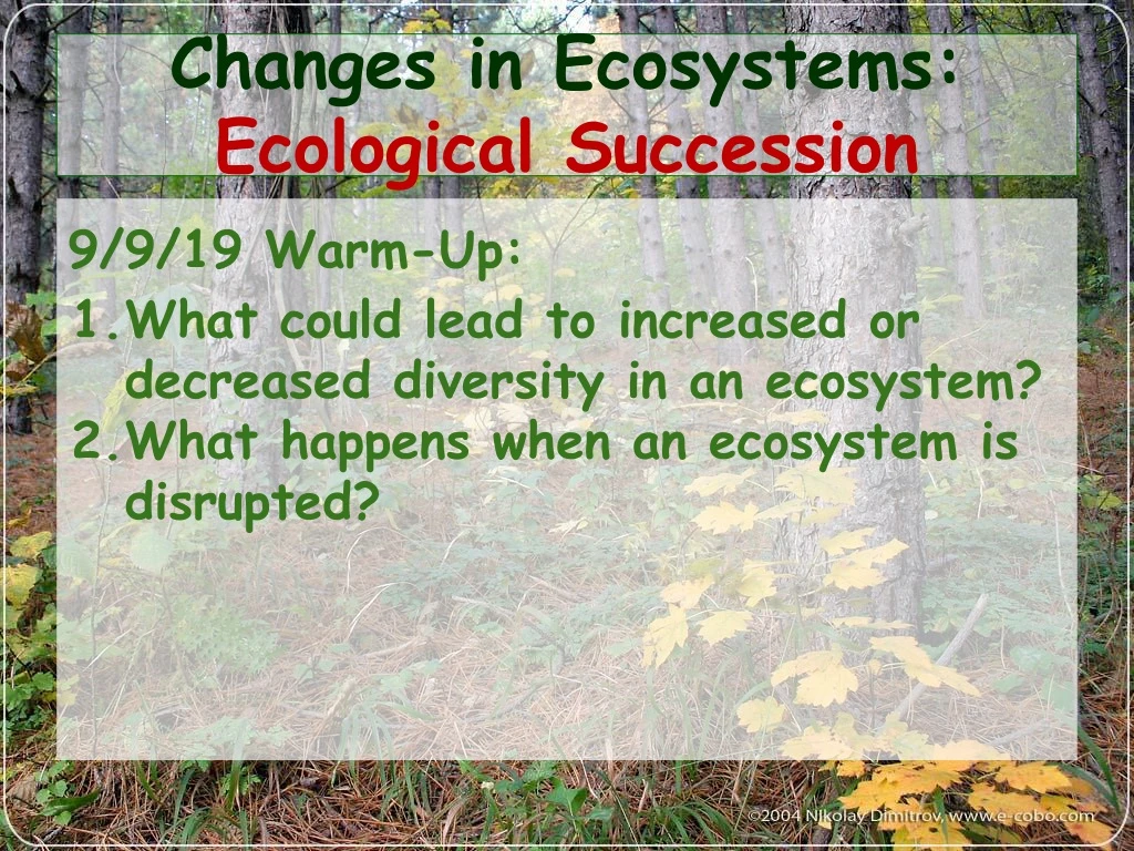 changes in ecosystems ecological succession