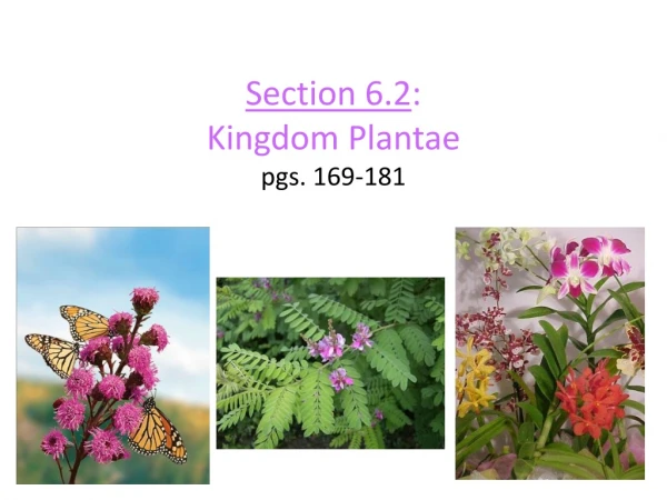 Section 6.2 : Kingdom Plantae pgs. 169-181