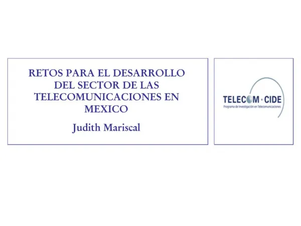 RETOS PARA EL DESARROLLO DEL SECTOR DE LAS TELECOMUNICACIONES EN MEXICO Judith Mariscal