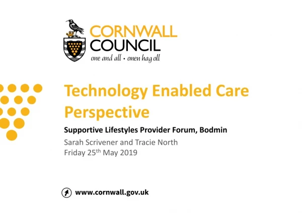 Technology Enabled Care Perspective Supportive Lifestyles Provider Forum, Bodmin