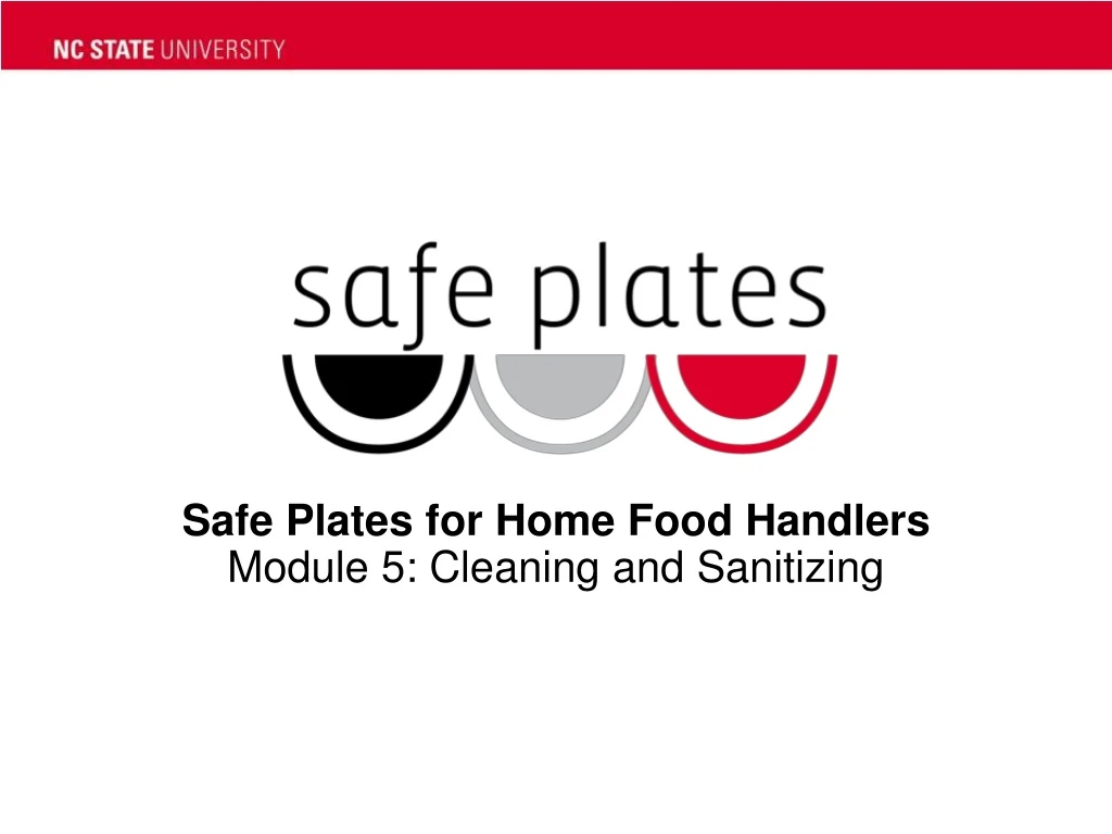 safe plates for home food handlers module 5 cleaning and sanitizing
