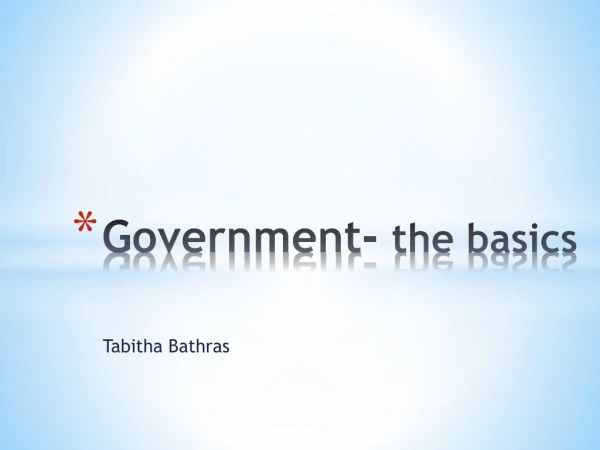 Government- the basics