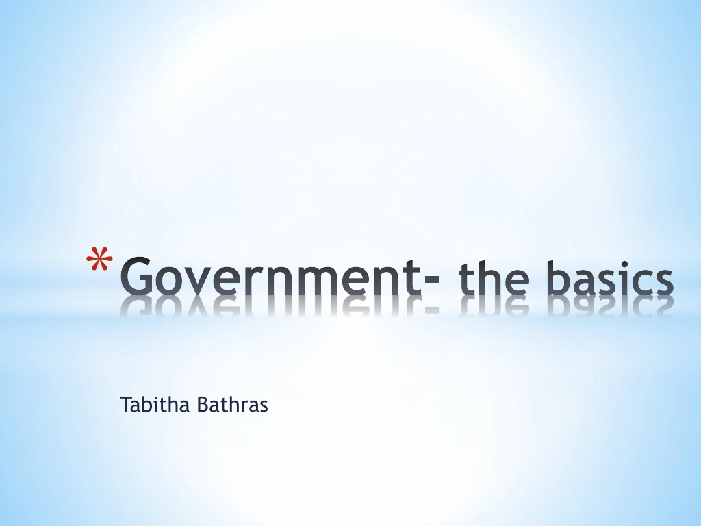 government the basics