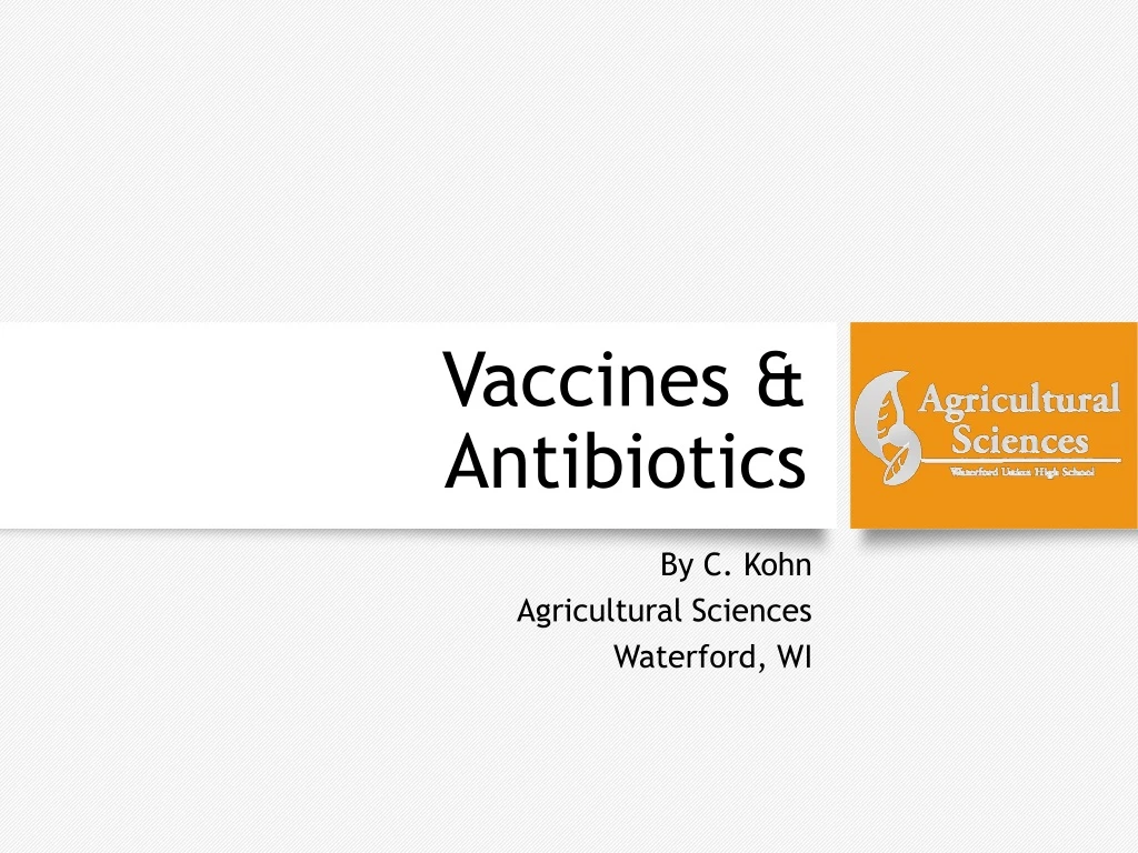 vaccines antibiotics