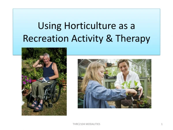 Using Horticulture as a Recreation Activity &amp; Therapy