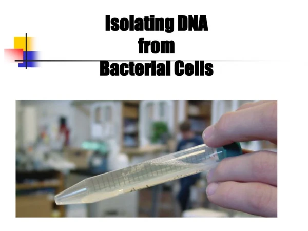 Isolating DNA from Bacterial Cells