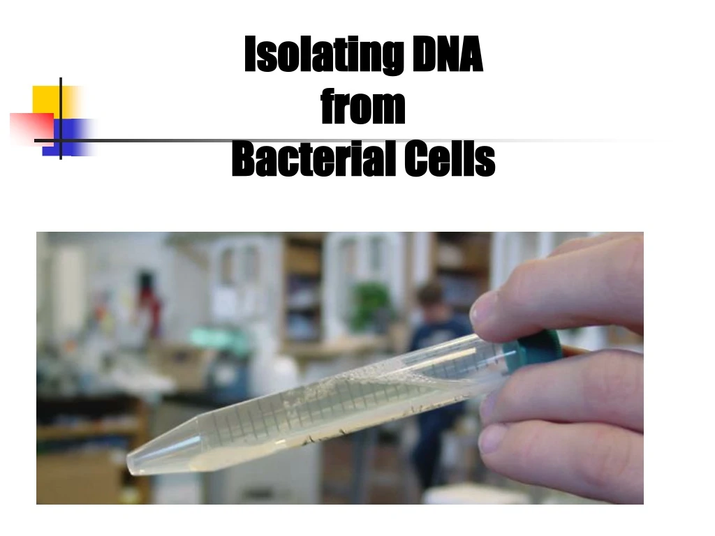 isolating dna from bacterial cells