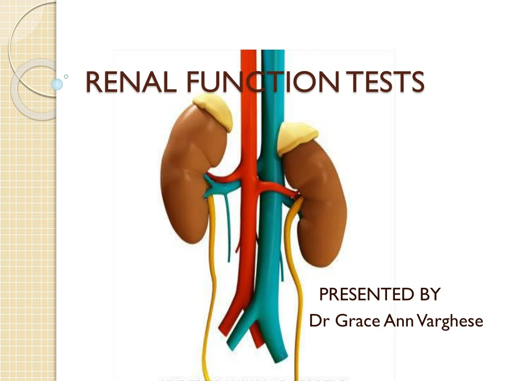 renal function tests