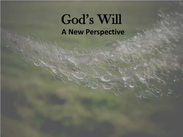 God’s Will