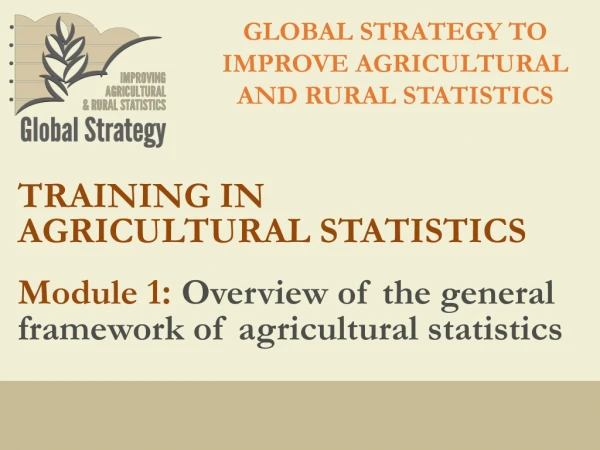 GLOBAL STRATEGY TO IMPROVE AGRICULTURAL AND RURAL STATISTICS