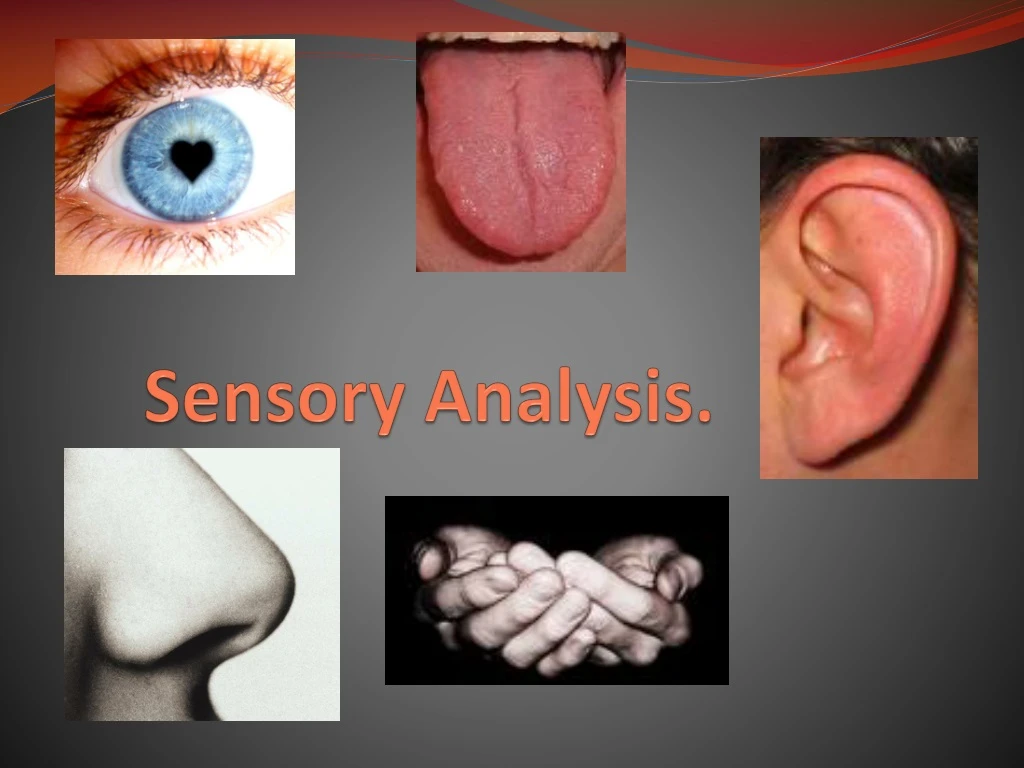sensory analysis