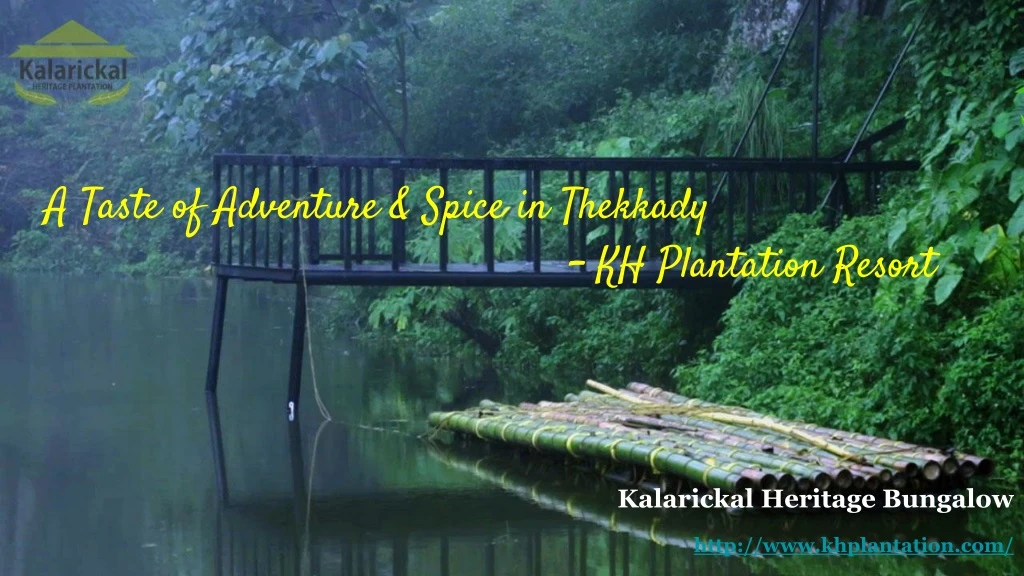 a taste of adventure spice in thekkady kh plantation resort