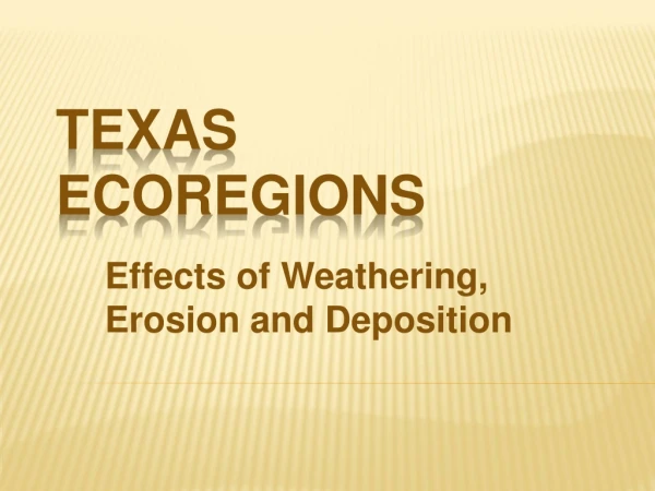 Texas Ecoregions
