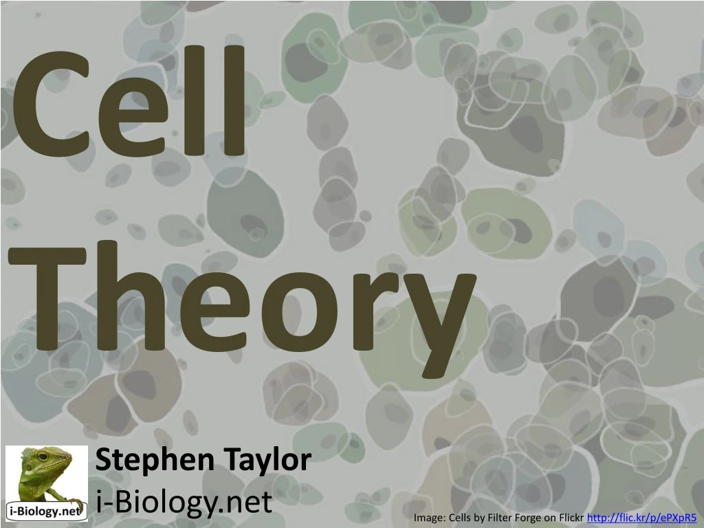 cell theory