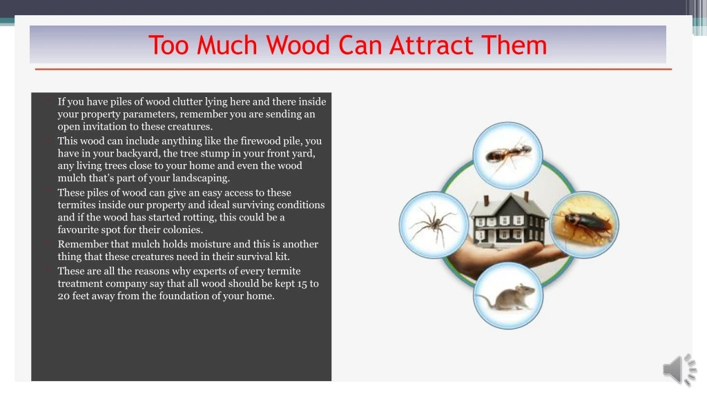 too much wood can attract them