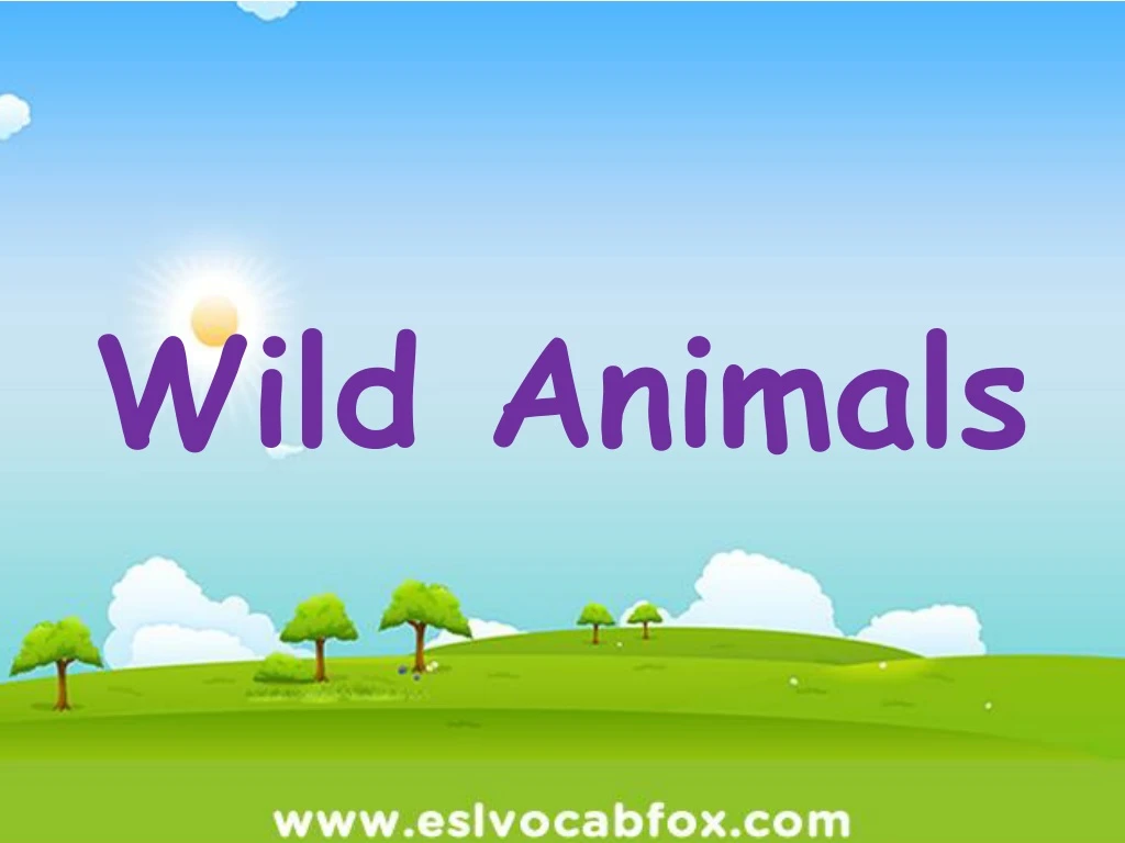 wild animals