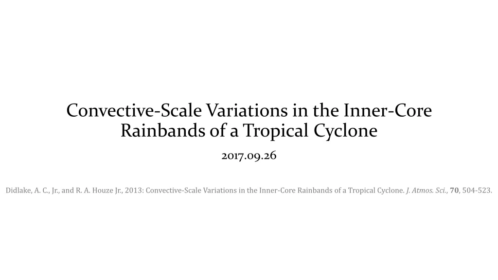 convective scale variations in the inner core rainbands of a tropical cyclone