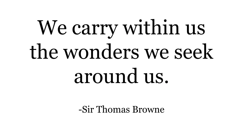 we carry within us the wonders we seek around us