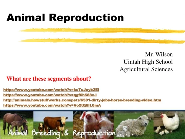 Animal Reproduction