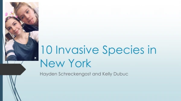 10 Invasive Species in New York