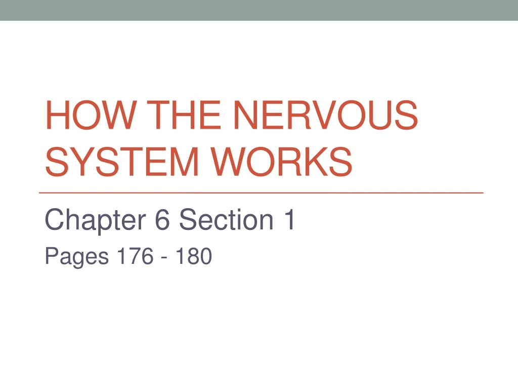 how the nervous system works