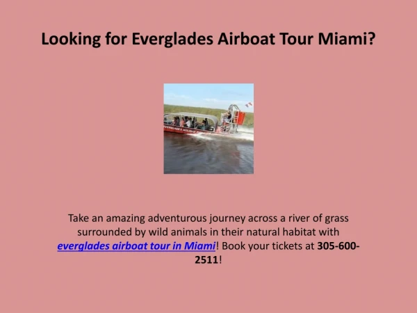 Looking for Everglades Airboat Tour in Miami?