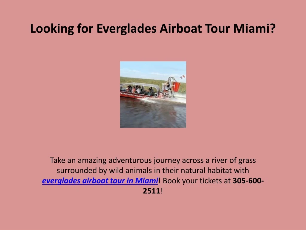 looking for everglades airboat tour miami