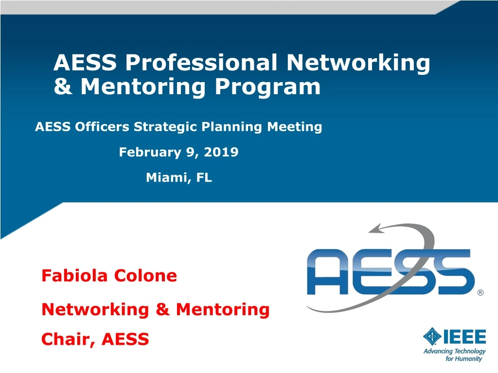 aess professional networking mentoring program