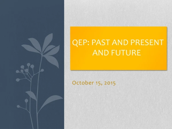 QEP: Past and Present And Future